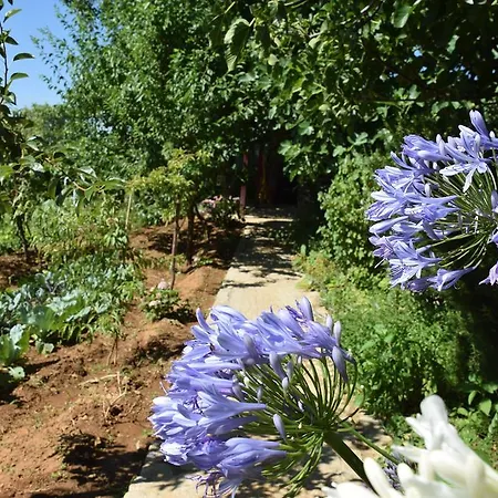 Quinta Da Boa Ventura Bragance