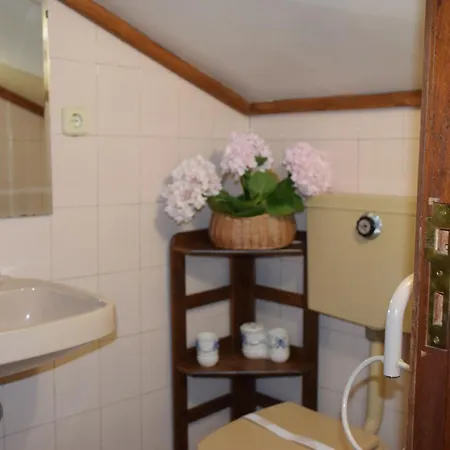 Affittacamere Quinta Da Boa Ventura 4*