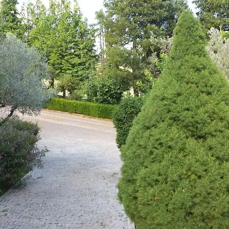 Quinta Da Boa Ventura