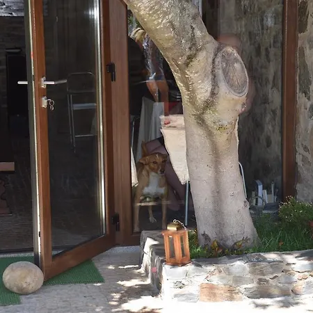 Maison d'hôtes Quinta Da Boa Ventura *