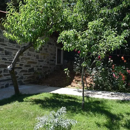 Quinta Da Boa Ventura