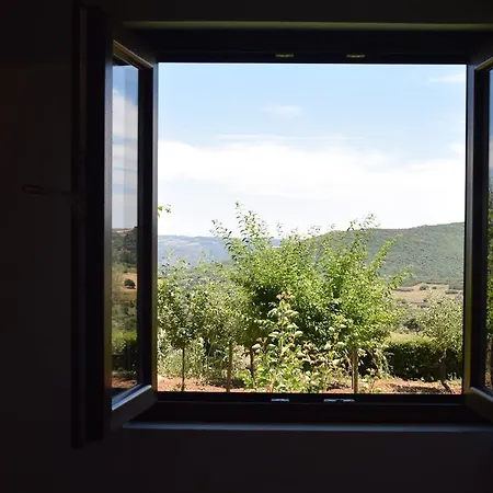 Quinta Da Boa Ventura Gasthuis
