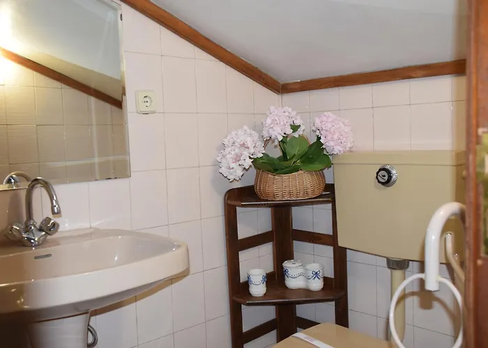 Quinta Da Boa Ventura 게스트하우스 4*